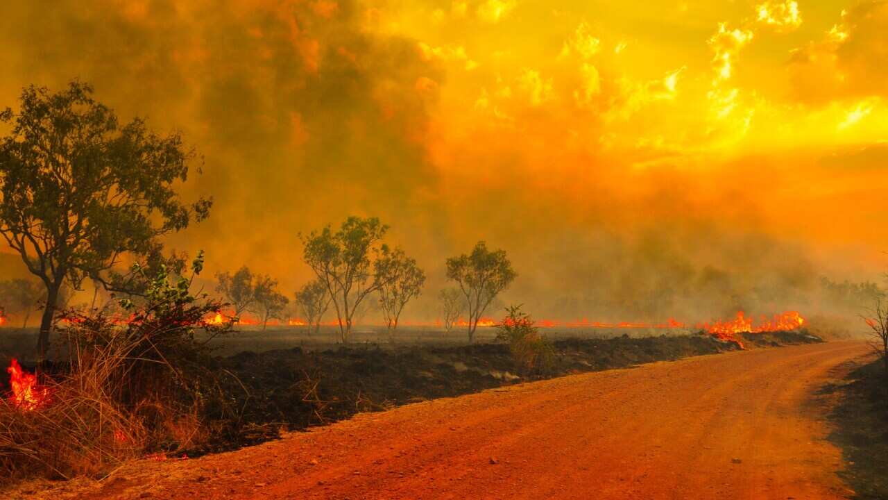 SG Bushfire season