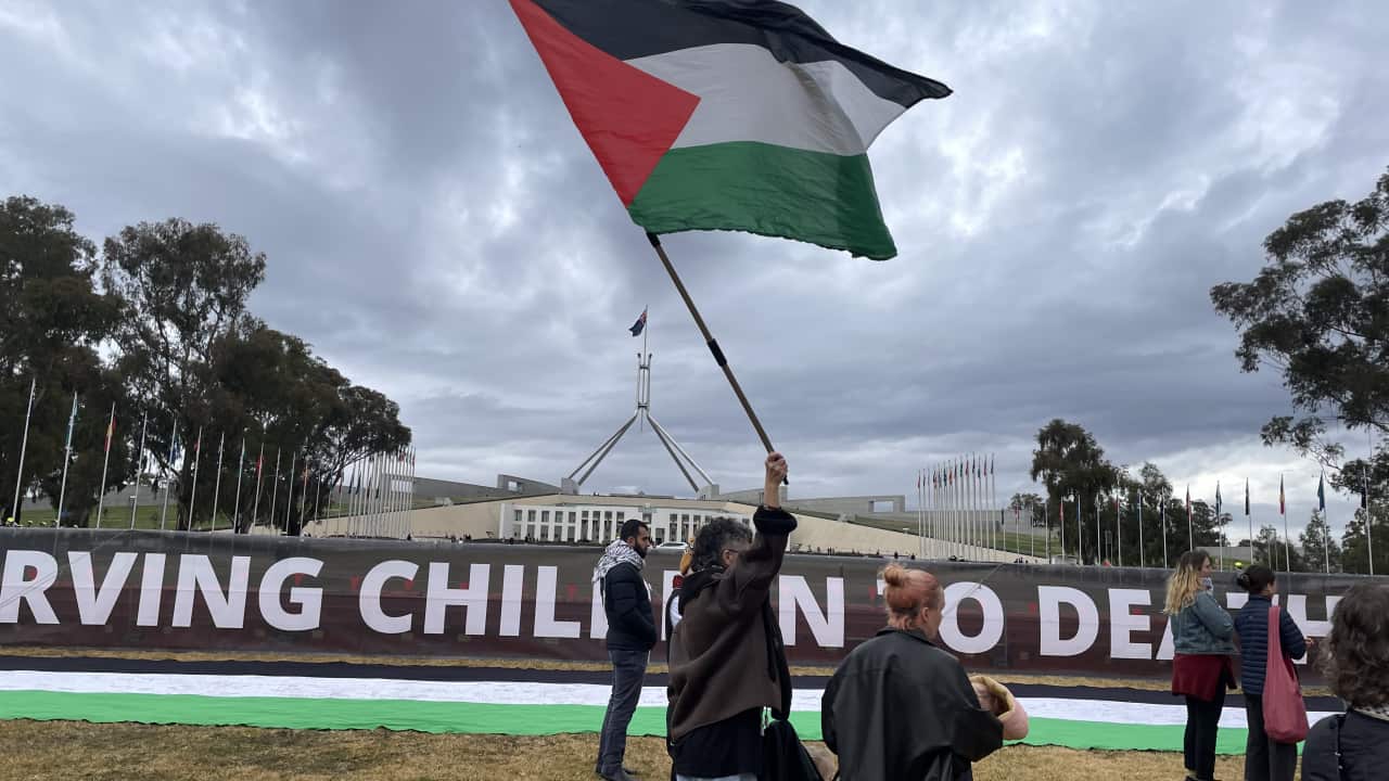 A person holding a Palestinian flag on the lawns of parliament.