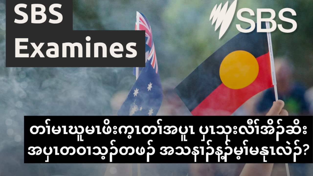 Copy of SBS Examines (3).png