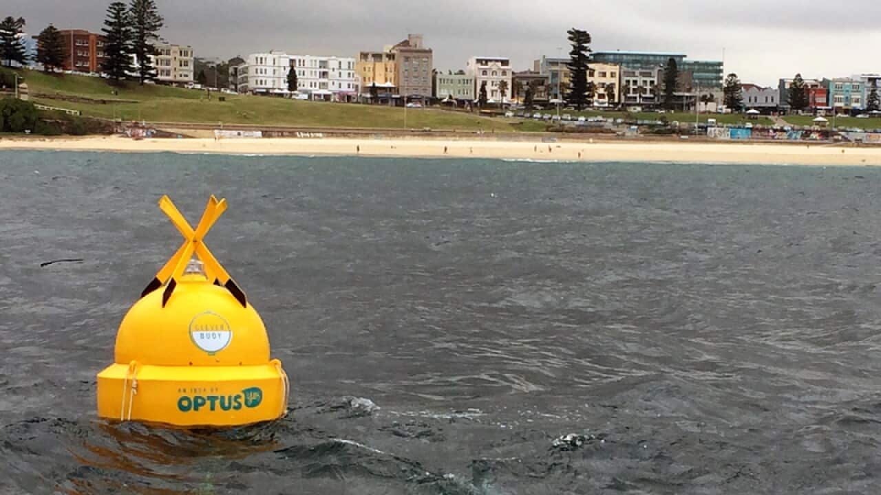 Shark Mitigation System's Clever Buoy.