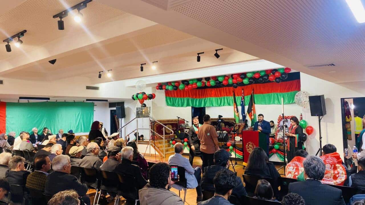 Afghans in Australia_2025