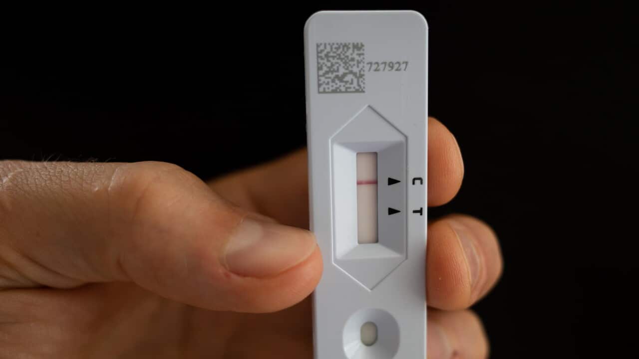 rapid antigen test