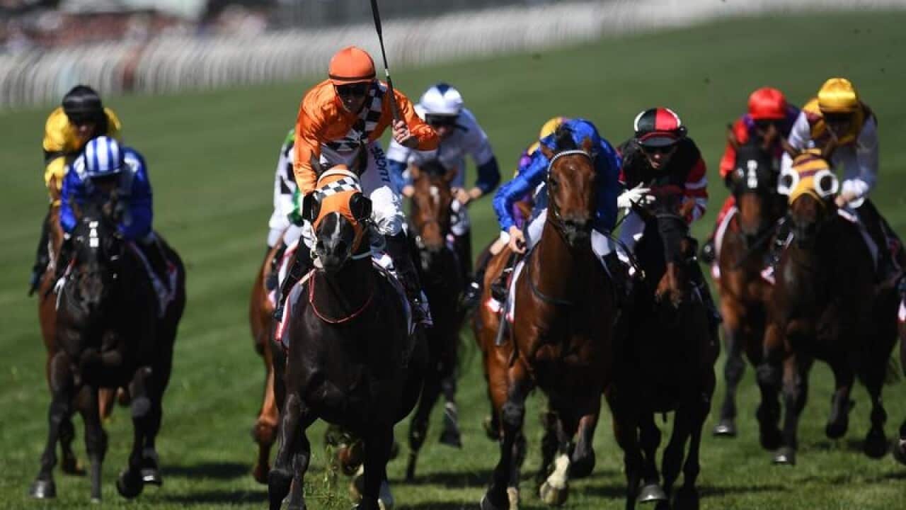 Tye Angland reacts riding Ace High (fourth from left) to victory.