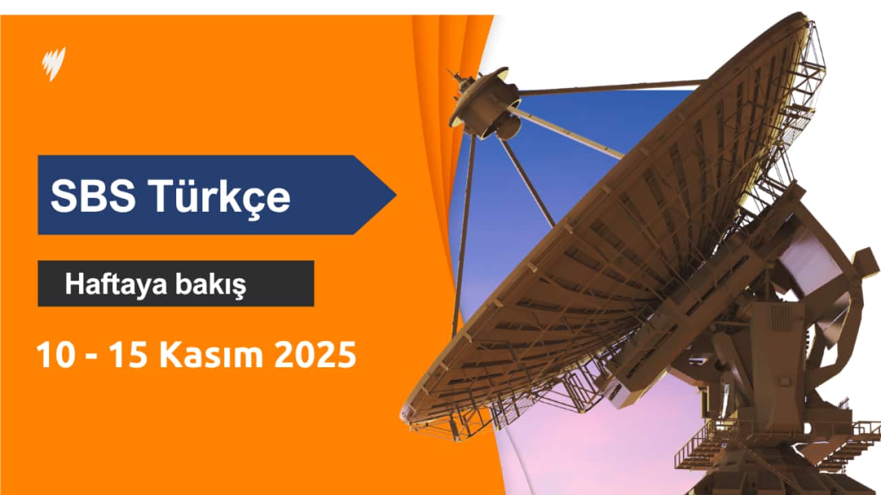 SBS TURKISH NOV 14 WEEK.png