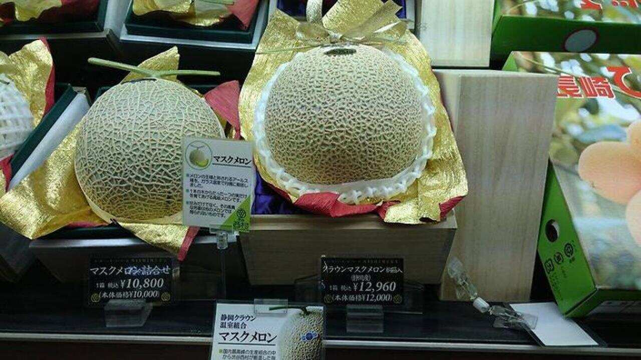 Rockmelon