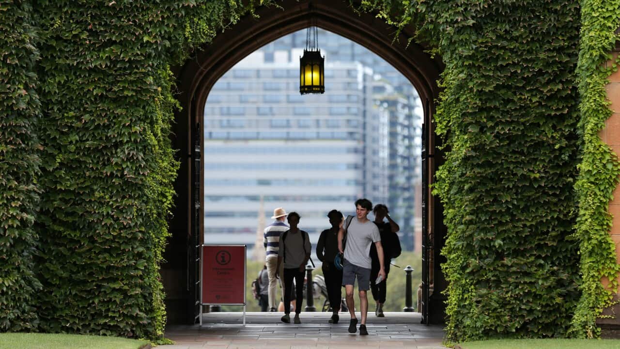 Image for read more article 'READ MORE'