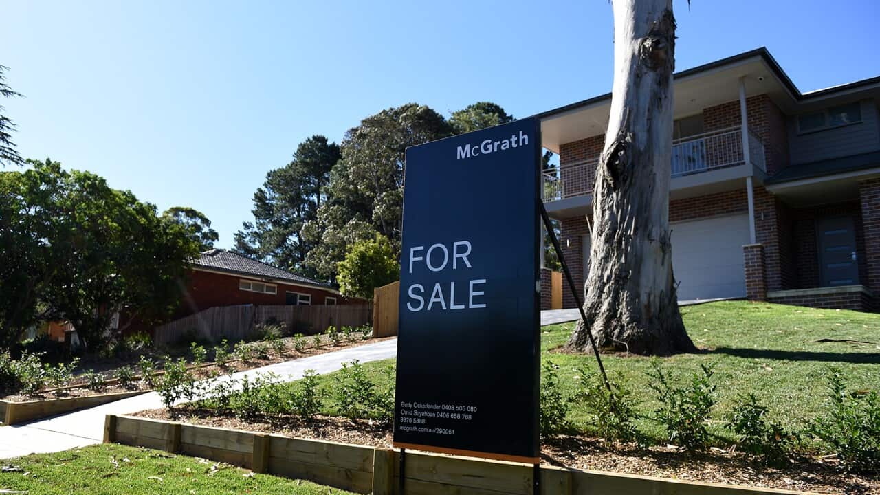 Image for read more article 'RECOMMENDED'