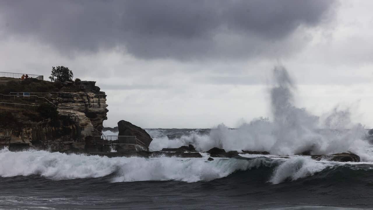 MISSING SWIMMER COOGEE