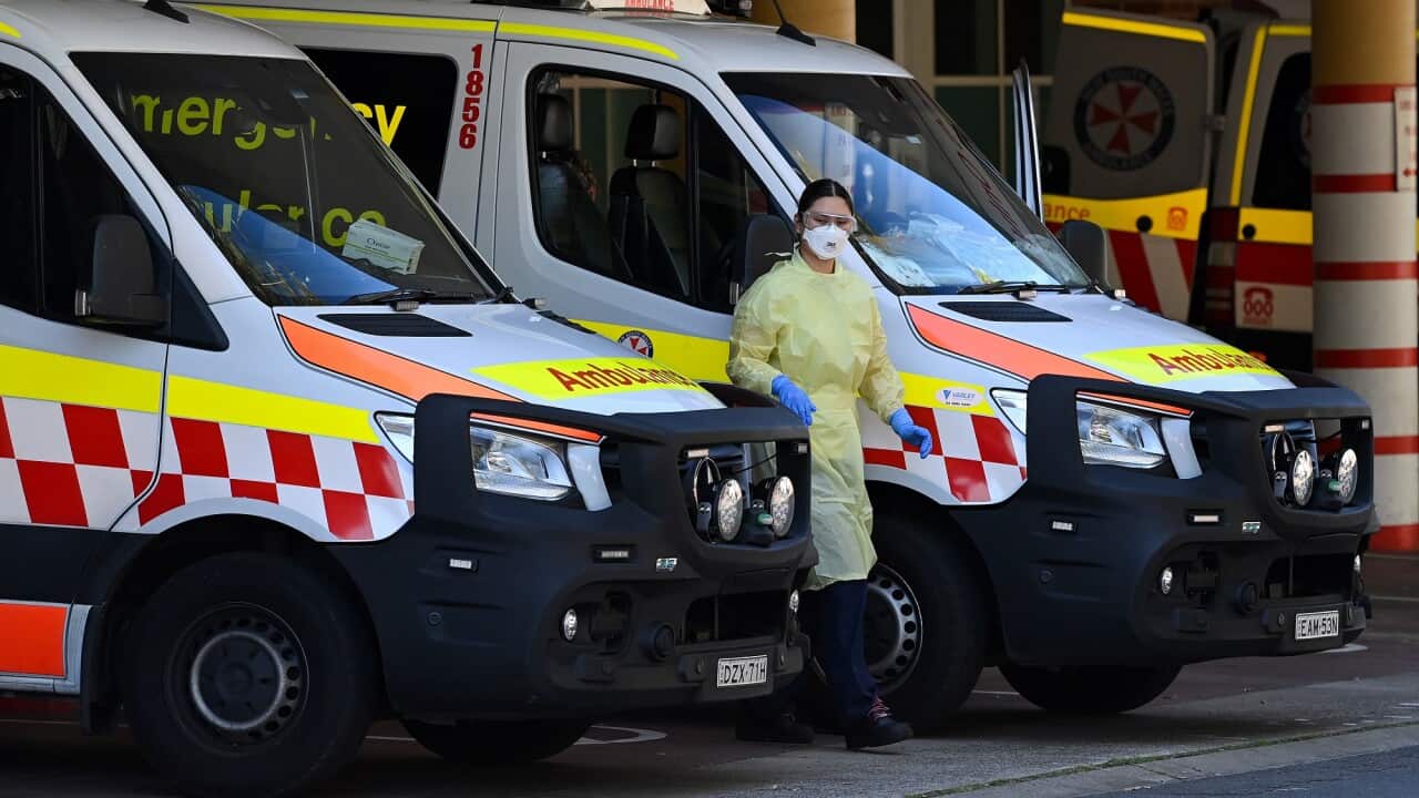 NSW CORONAVIRUS COVID19