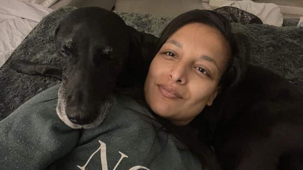 Mes chiens sont mes enfants. J&rsquo;ai déjà un plan de deuil en place pour leur décès