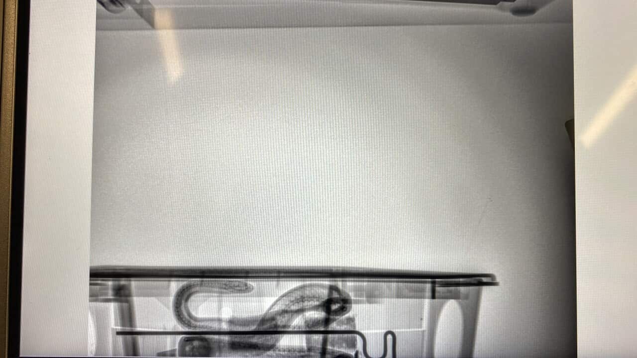 Image for read more article '更多內容'