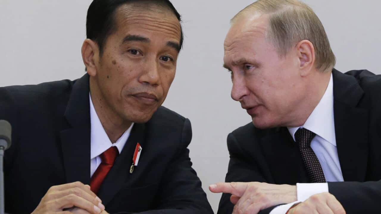 Russia's Vladimir Putin (R) and Indonesia's Joko Widodo