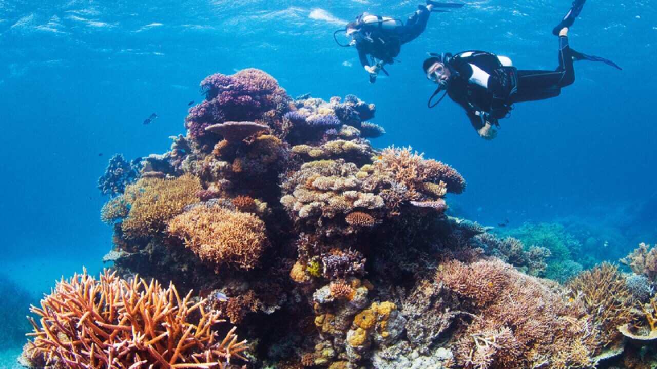 Image for read more article 'READ MORE'