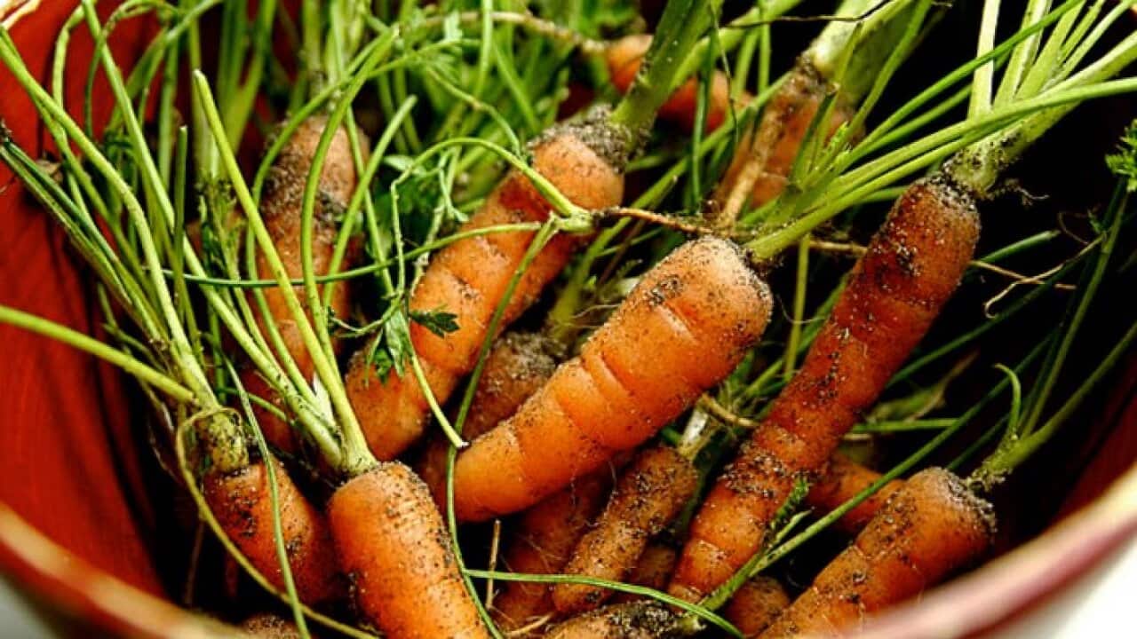 Organic Food