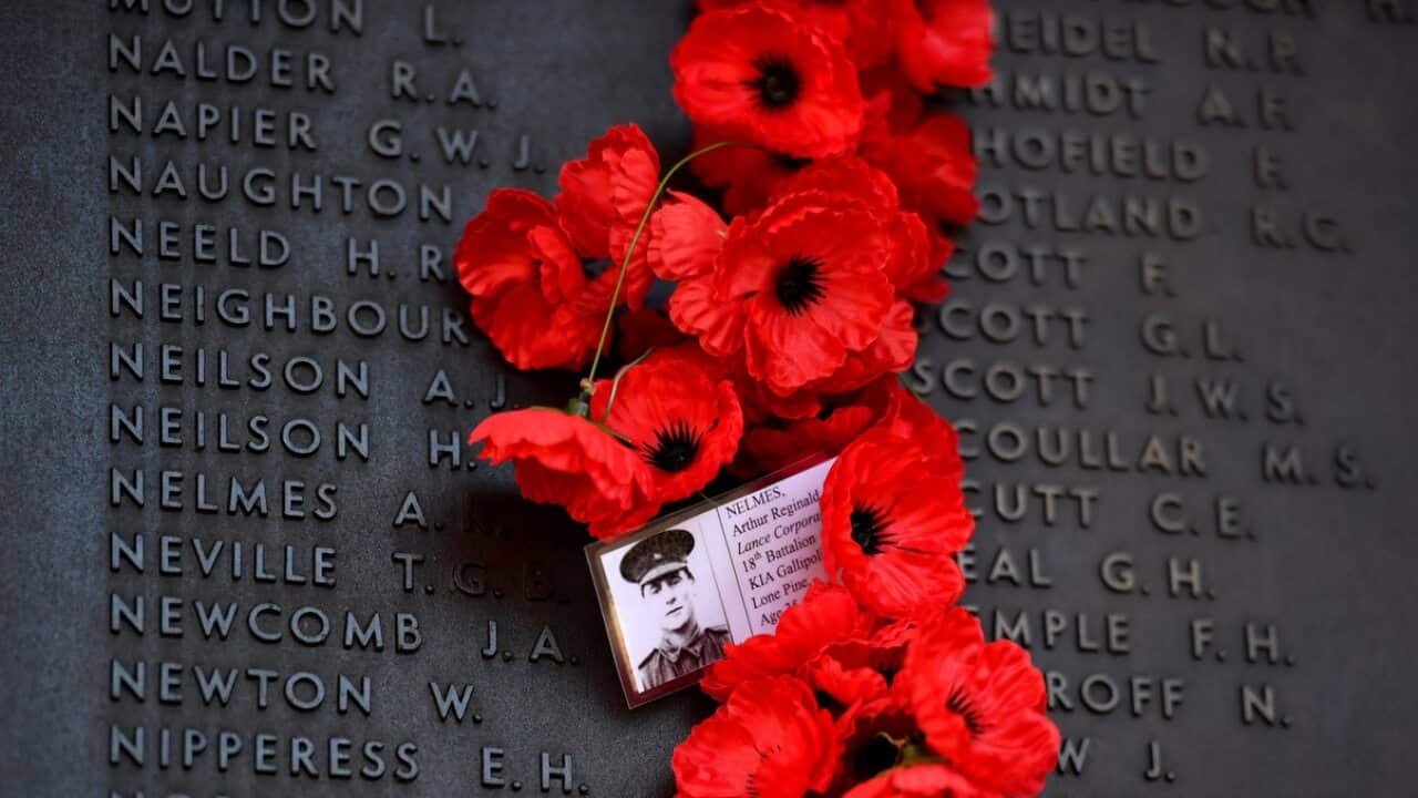Personal messages are seen amongst the poppies on the Roll of Honour during Remembrance Day at the Australian War Memorial, in Canberra.