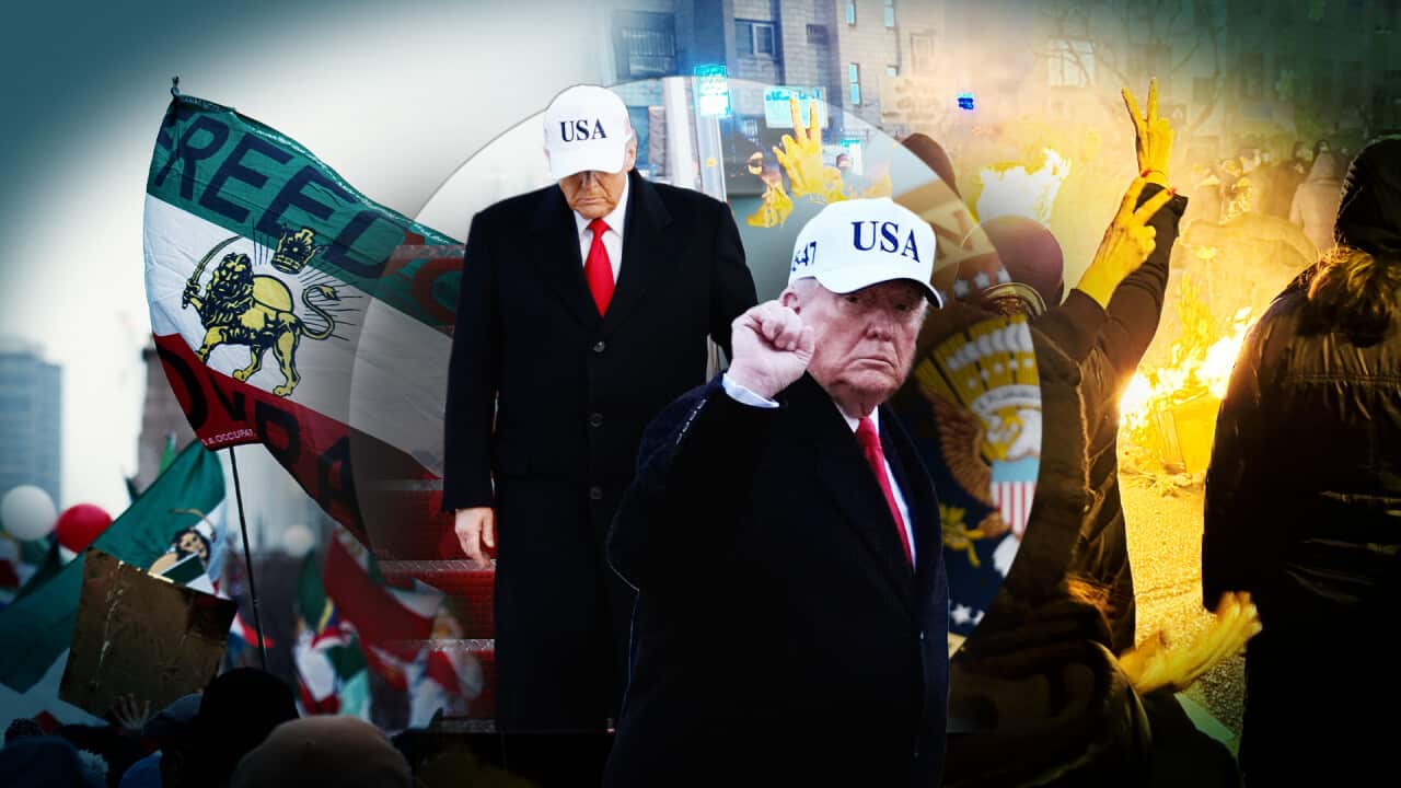 A composite image of Donald Trump next to protesters and flags