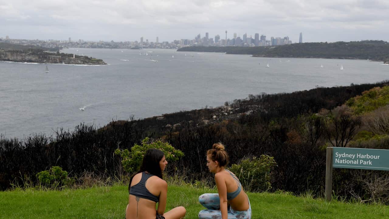 SYDNEY HARBOUR BOXING DAY