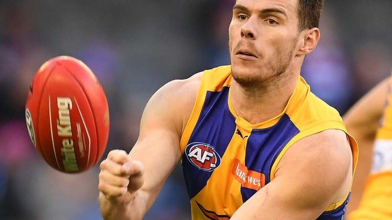 Luke Shuey