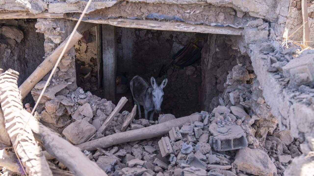 Morocco earthquake: Experts explain why buildings couldn’t withstand the 6.8M force Morocco earthquake: Experts explain why buildings couldn’t withstand the 6.8M force