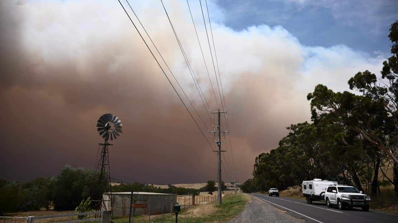 VICTORIA BUSHFIRES