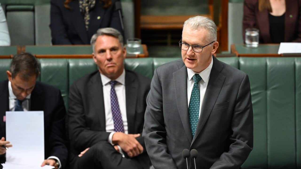 Home Affairs Minister Tony Burke in Question Time after the government introduced a bill to ban certain temporary visa holders from some countries entering the Australia.