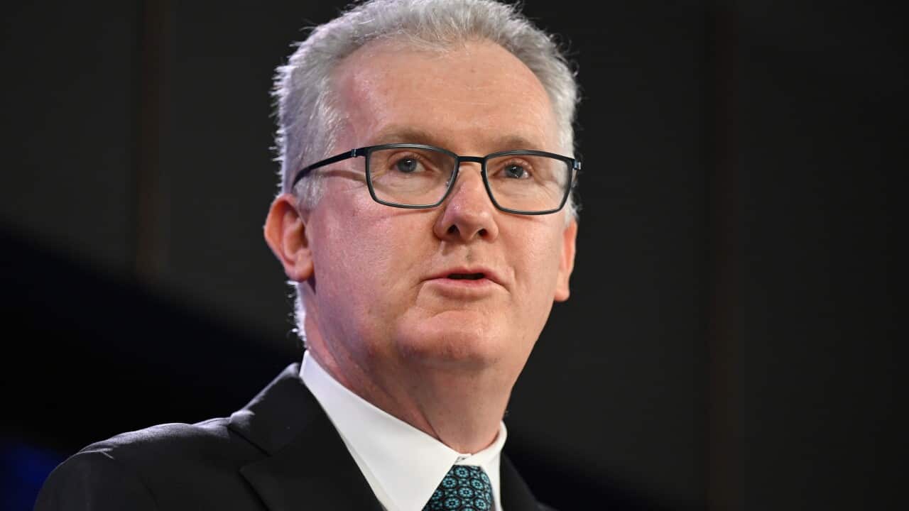 A close frame of grey-haired, Home Affairs Minister Tony Burke, mid-speech.