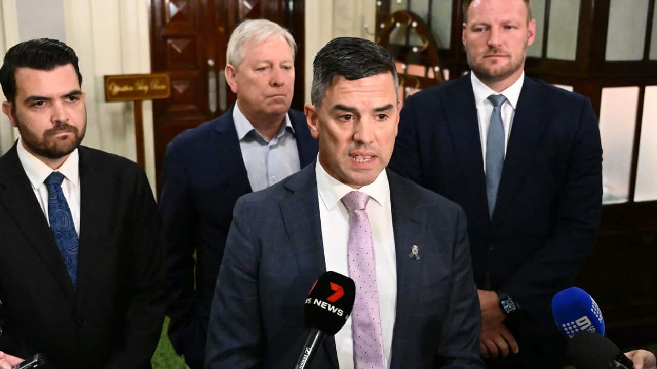 Image for read more article 'READ MORE'