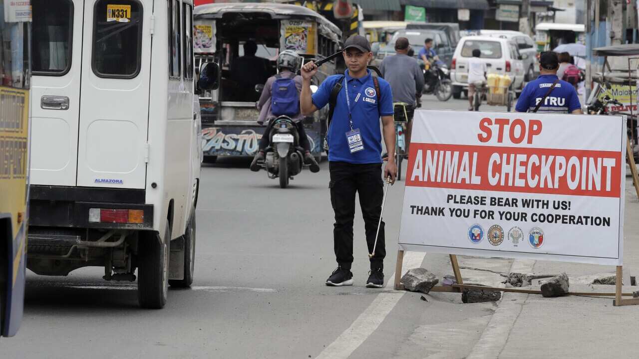 n animal checkpoint in the Philippines to help prevent the spread of African Swine Fever virus (AAP).
