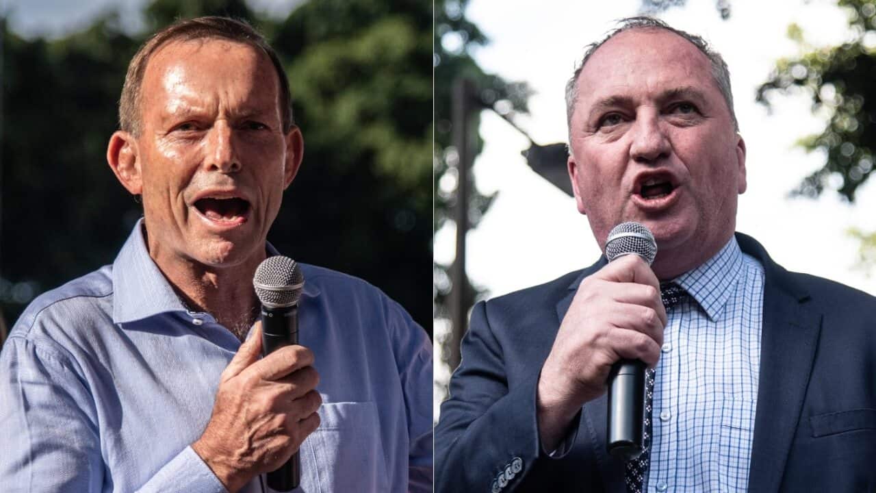 Tony Abbott and Barnaby Joyce speak during an anti-abortion rally in Hyde Park, Sydney, Sunday, September 15, 2019.