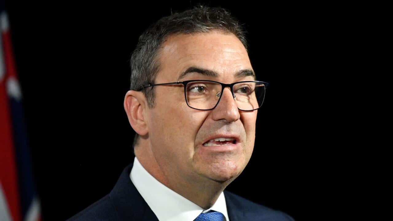 South Australian Premier Steven Marshall speaks to the media in Adelaide, Friday, July 10, 2020  ((AAP Image/David Mariuz) NO ARCHIVING