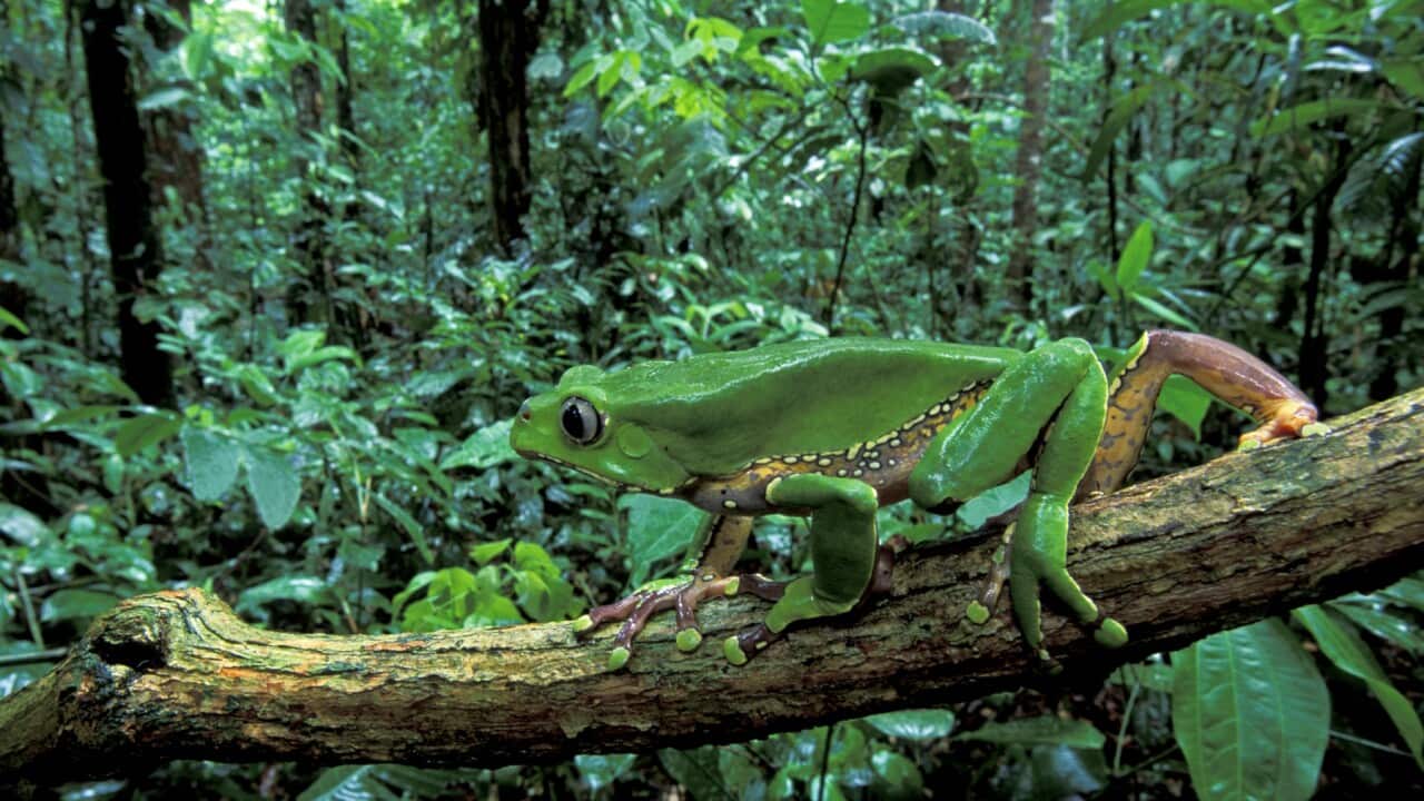 Image for read more article 'Nghe đọc thêm'