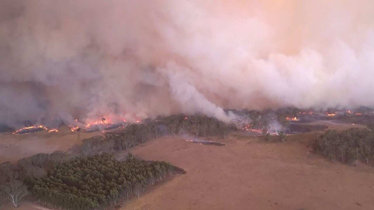 BUSHFIRES VICTORIA