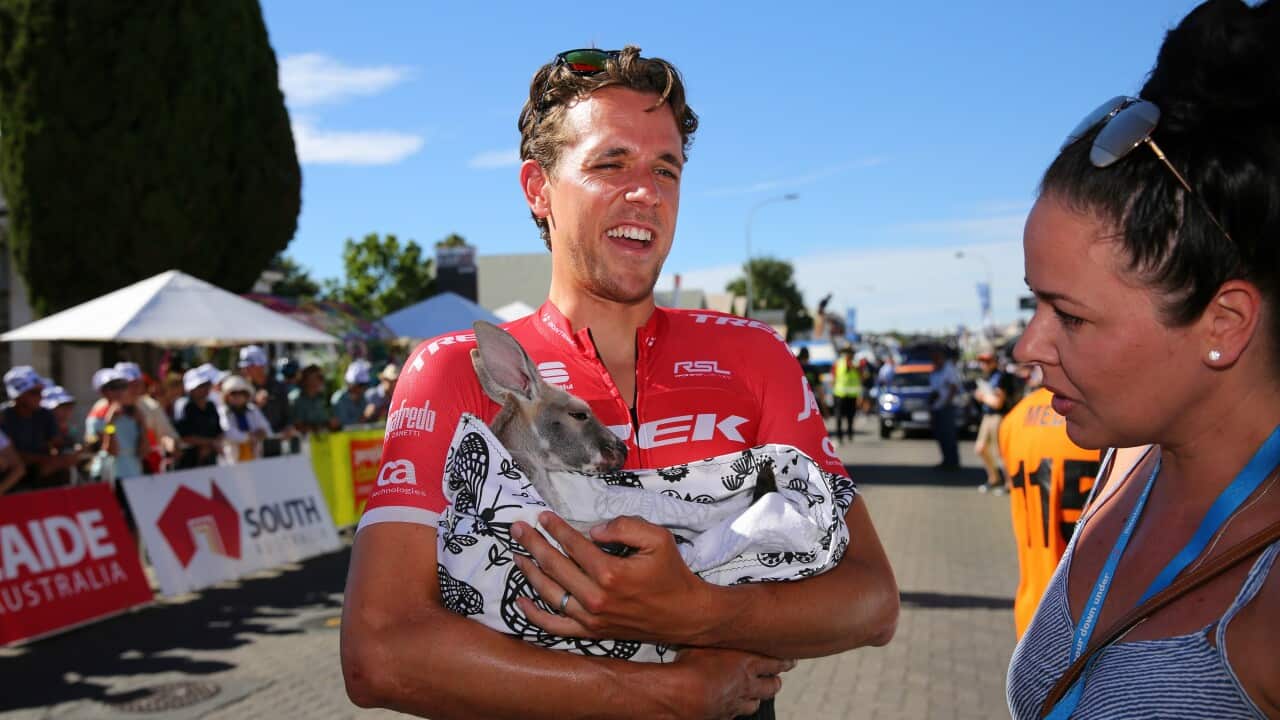 Koen de Kort, Trek Segafredo