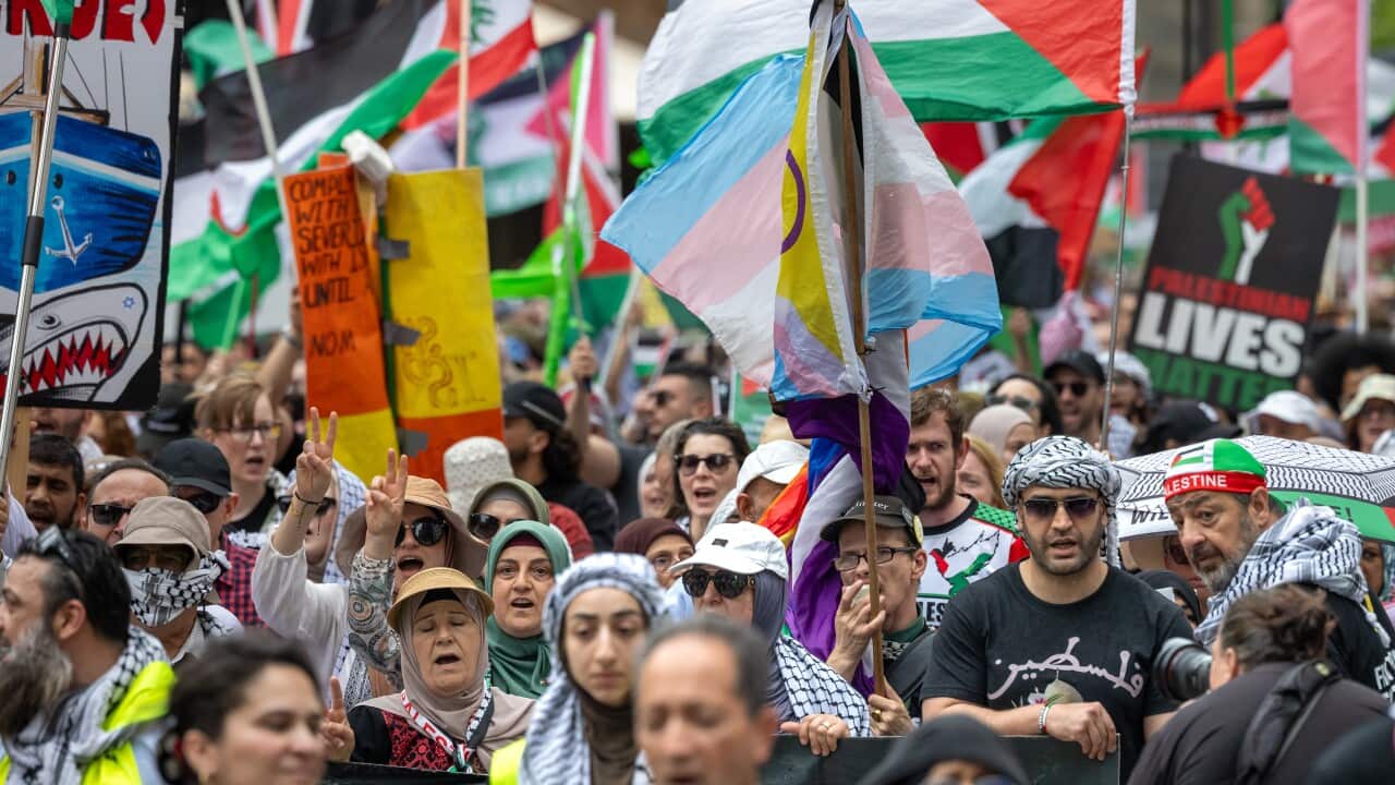 Protesters wearing keffiyehs and holding flags.