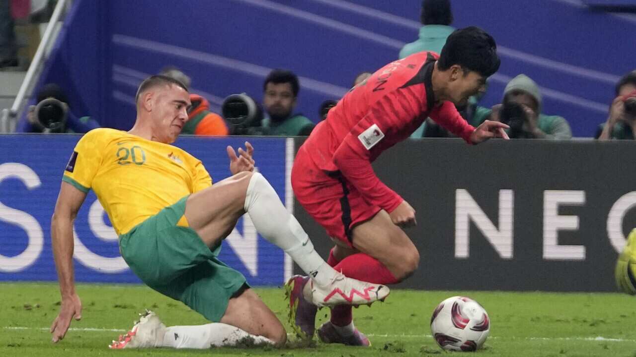 Qatar Australia South Korea Asian Cup Soccer