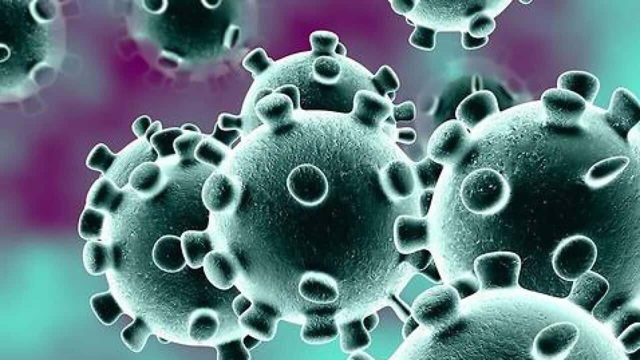 coronavirus