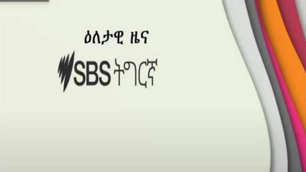 SBS Tigrinya News