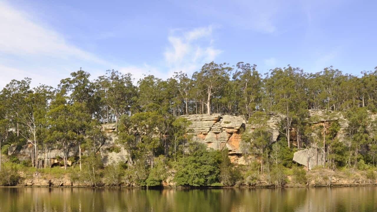 Image for read more article 'More episodes'