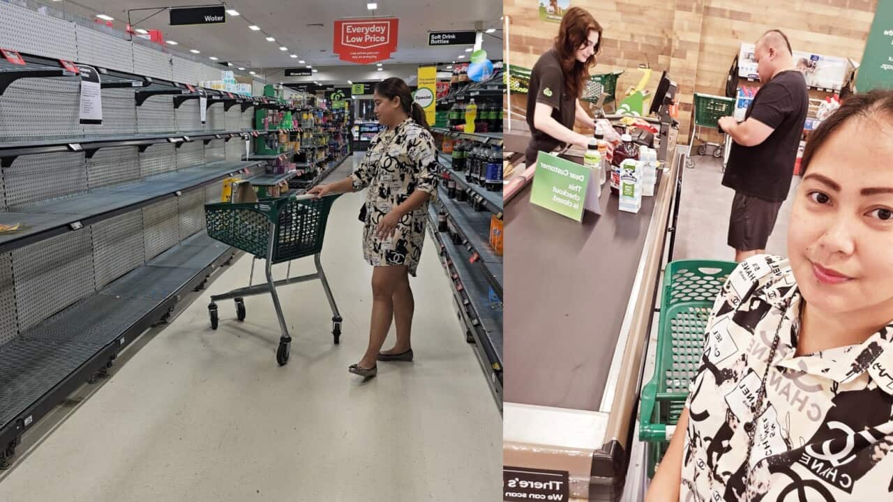 Mae Schame Areola Lollback profile.jpg