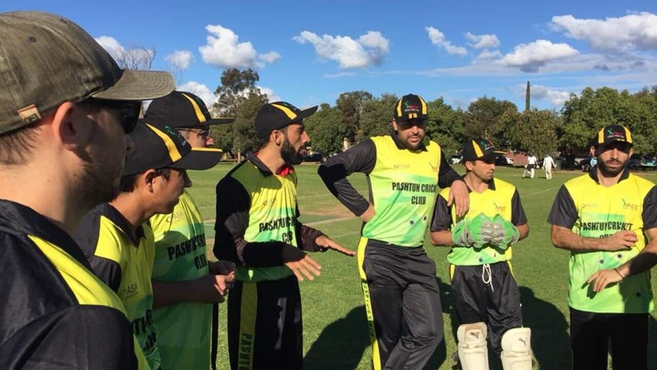 Multiculural Cricket League