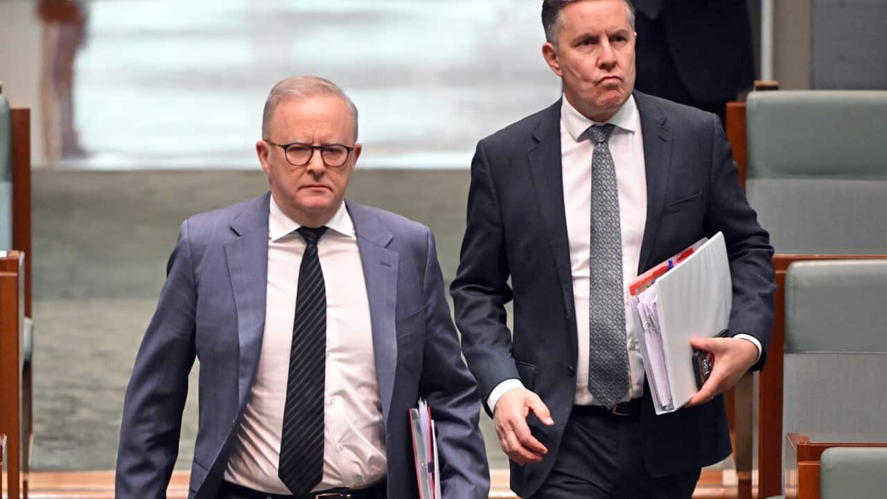 Prime Minister Anthony Albanese and Minister for Health Mark Butler arrive for Question Time November 2025 (AAP)