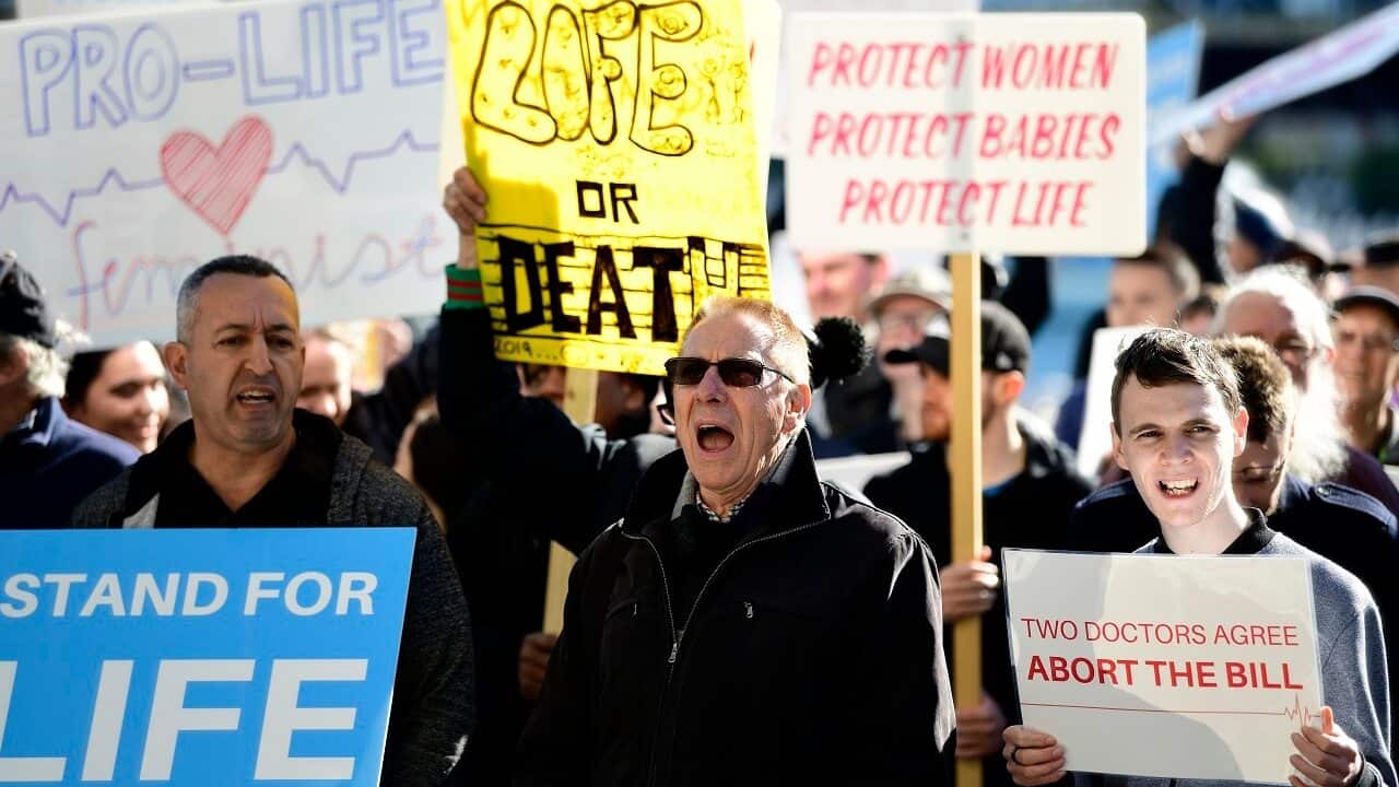 Protestors are seen holding placards at an anti-abortion rally on Saturday.