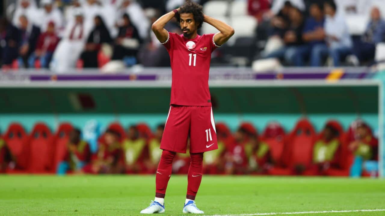 Image for read more article 'READ MORE'