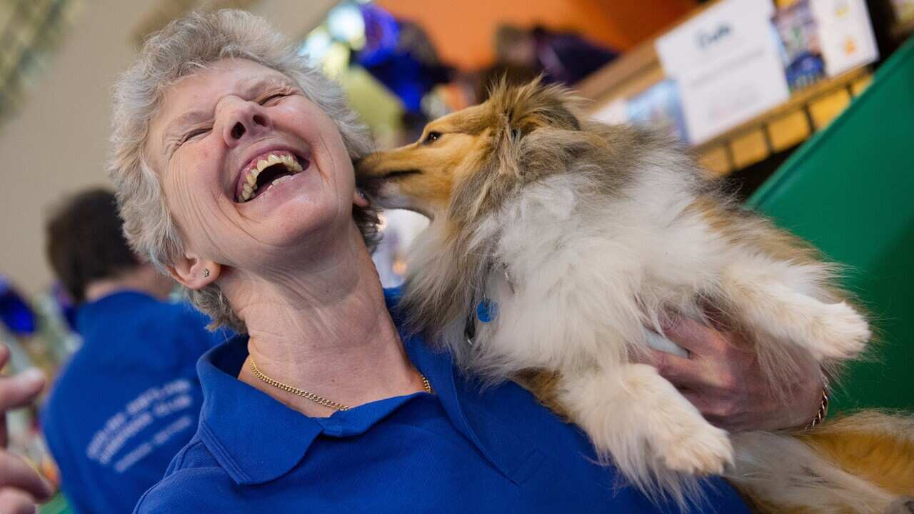 Dogs and their owners on day 3 of Crufts 