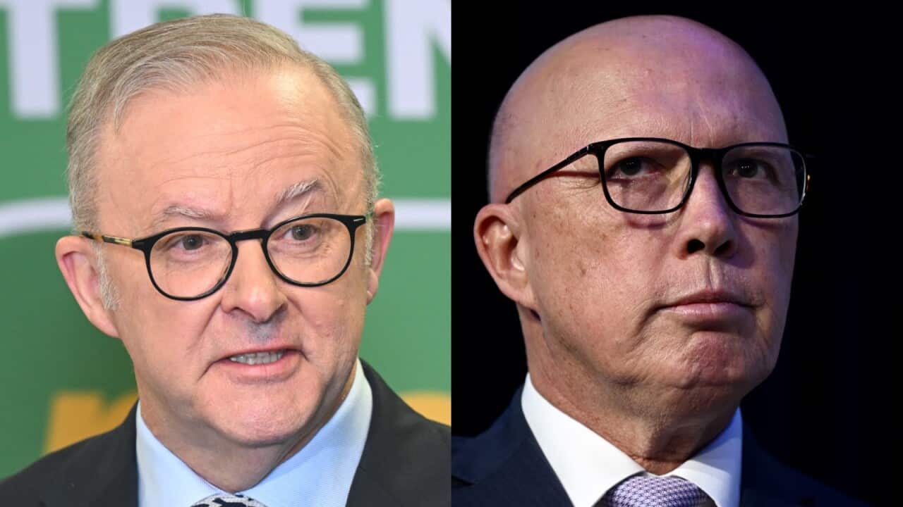A composite image of Anthony Albanese and Peter Dutton.
