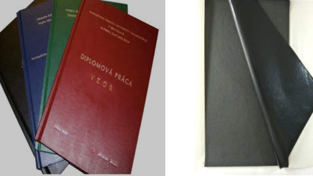 plagiarism