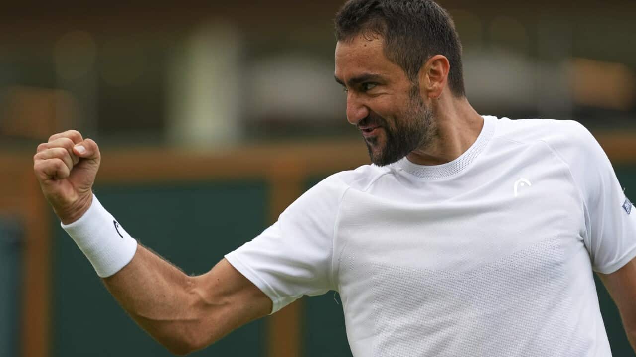 Marin Čilić 2025 Britain Wimbledon Tennis