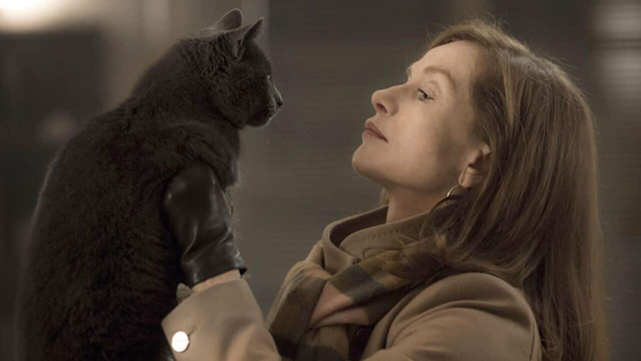 Image for read more article 'RELATED'