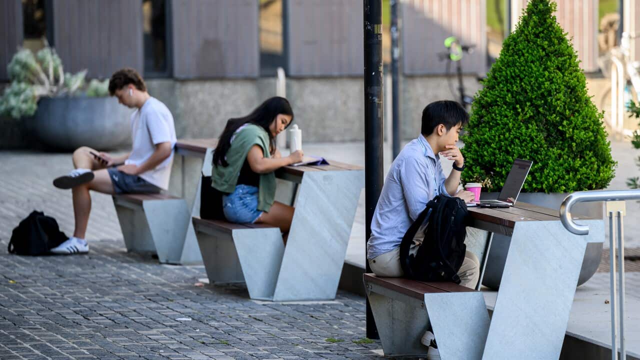 UNIVERSITY STUDENT STOCK