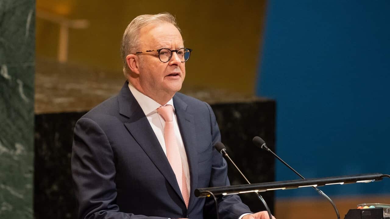 Anthony Albanese addresses the UN General Assembly on a Palestinian state (AAP).